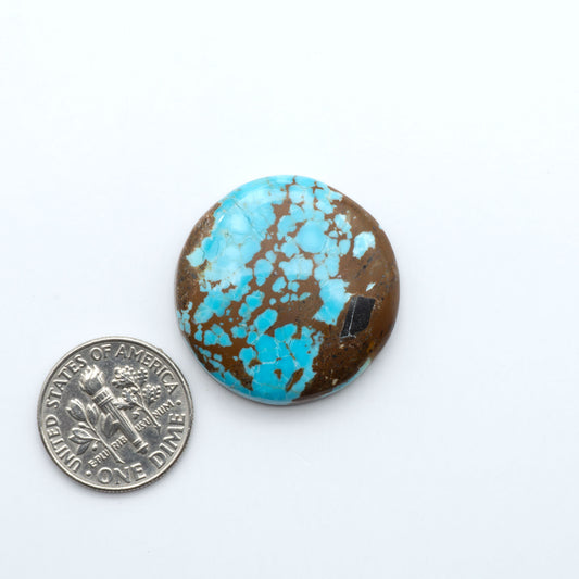 Number 8 Turquoise cabochons, blue and green color with brown matrix, polished stones on a white background, with a US dime for scale