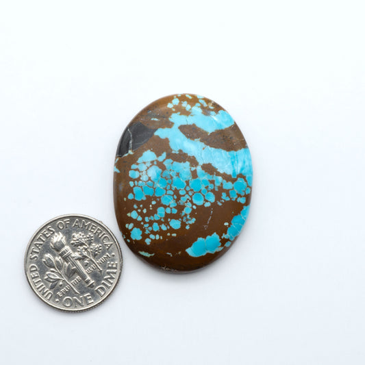 Number 8 Turquoise cabochons, blue and green color with brown matrix, polished stones on a white background, with a US dime for scale