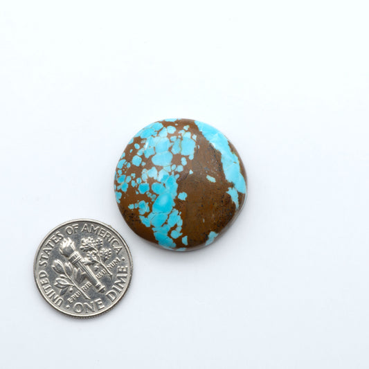 Number 8 Turquoise cabochons, blue and green color with brown matrix, polished stones on a white background, with a US dime for scale