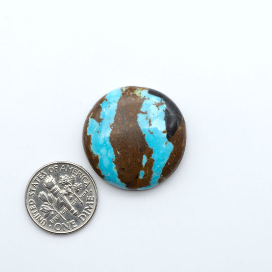 Number 8 Turquoise cabochons, blue and green color with brown matrix, polished stones on a white background, with a US dime for scale