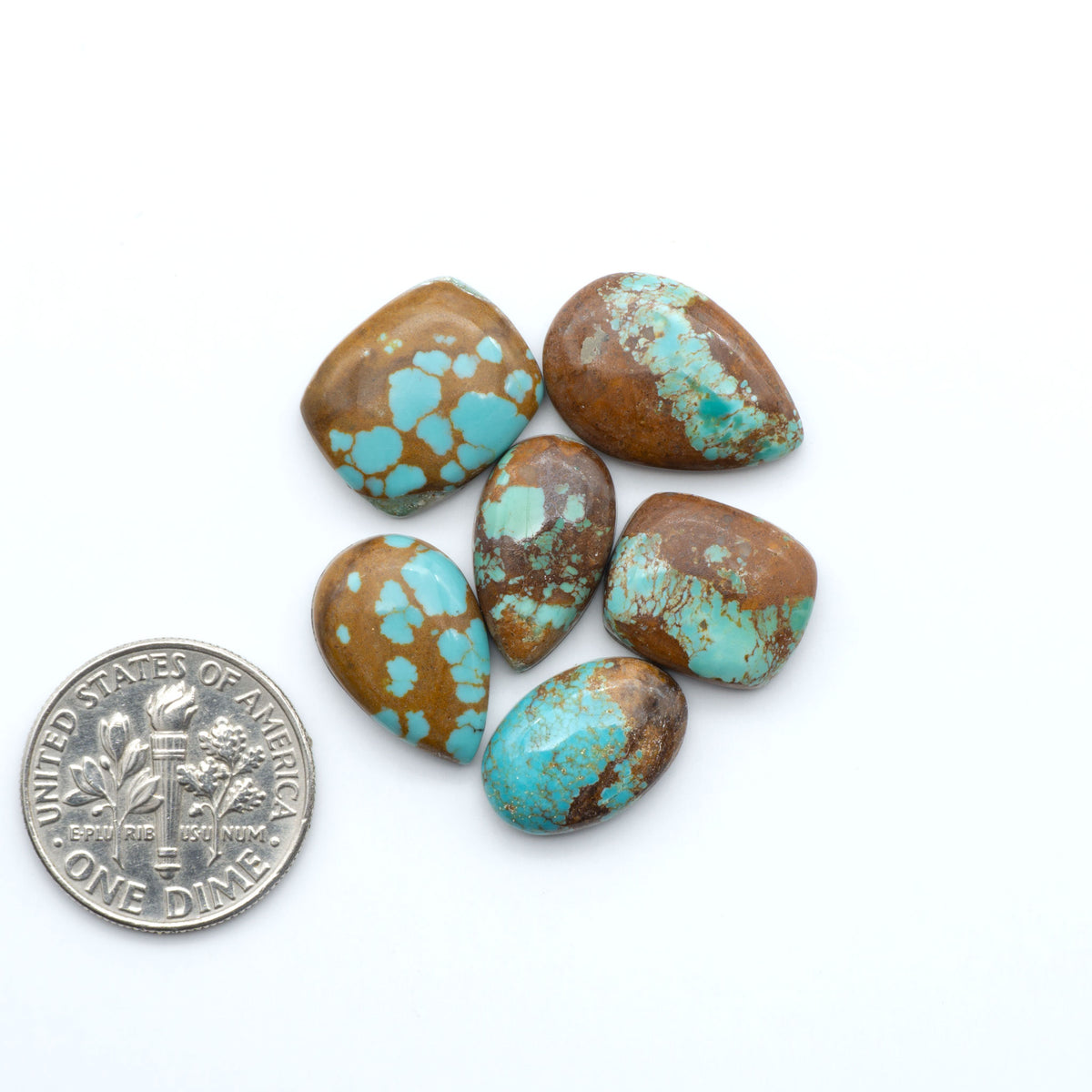 Pilot Mountain Turquoise cabochons, blue-green gemstones with natural matrix on a white background with a US dime for scale