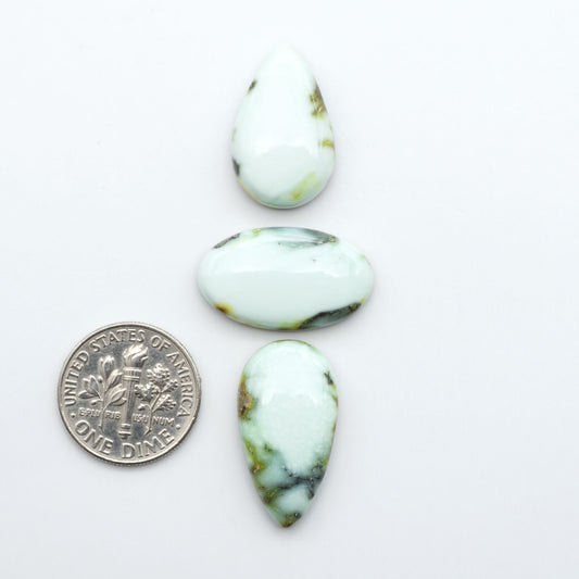 Palomino Variscite cabochons, polished yellow-green gemstones with natural matrix on a white background with a US dime for scale