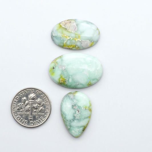 Palomino Variscite