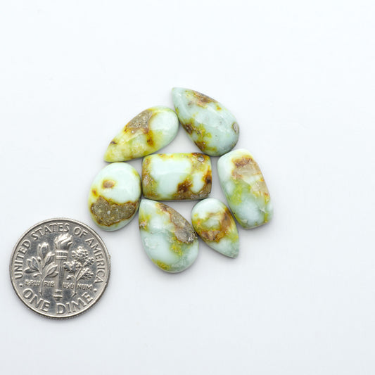 Palomino Variscite cabochons, polished yellow-green gemstones with natural matrix on a white background with a US dime for scale