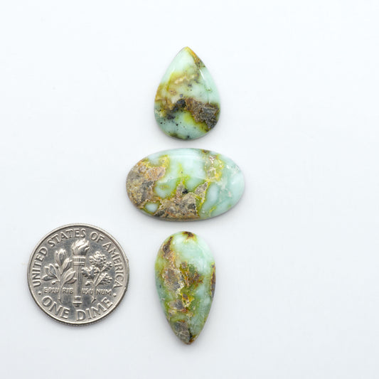 Palomino Variscite cabochons, polished yellow-green gemstones with natural matrix on a white background with a US dime for scale