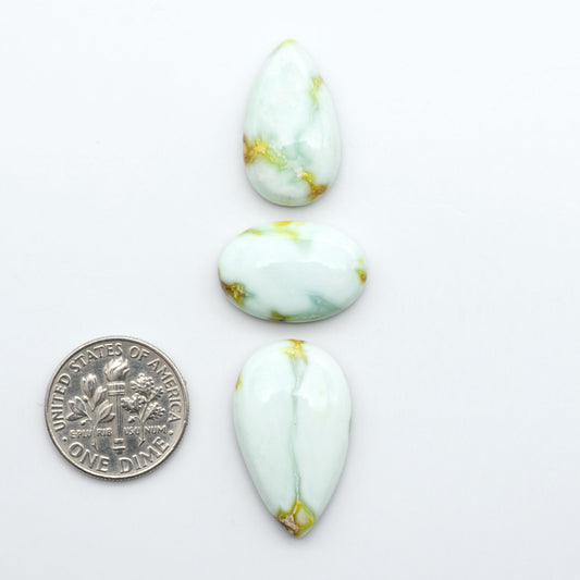 Palomino Variscite cabochons, polished yellow-green gemstones with natural matrix on a white background with a US dime for scale