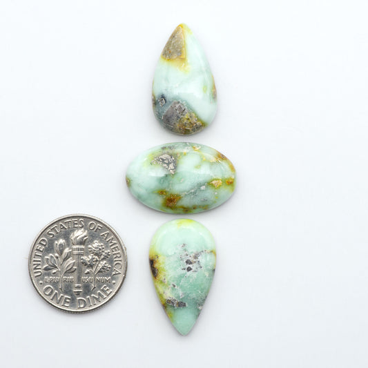Palomino Variscite cabochons, polished yellow-green gemstones with natural matrix on a white background with a US dime for scale