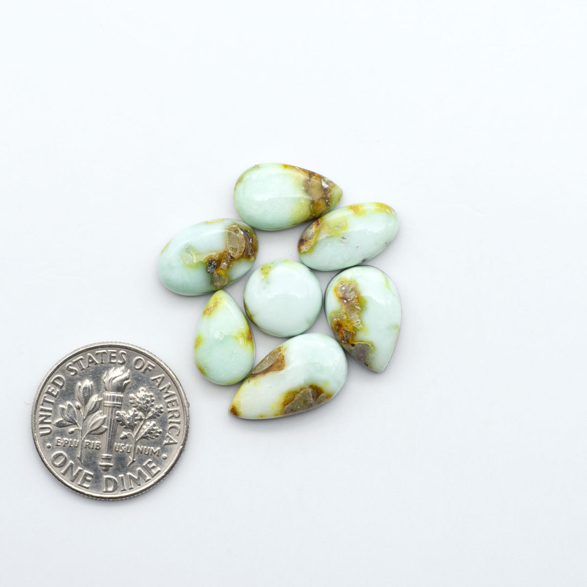 Palomino Variscite cabochons, polished yellow-green gemstones with natural matrix on a white background with a US dime for scale