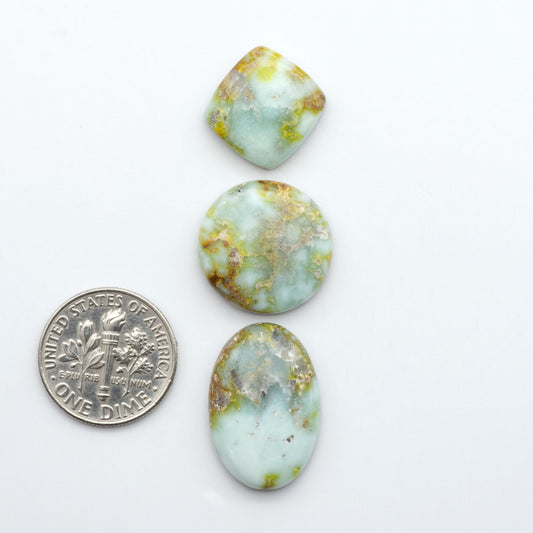 Palomino Variscite cabochons, polished yellow-green gemstones with natural matrix on a white background with a US dime for scale