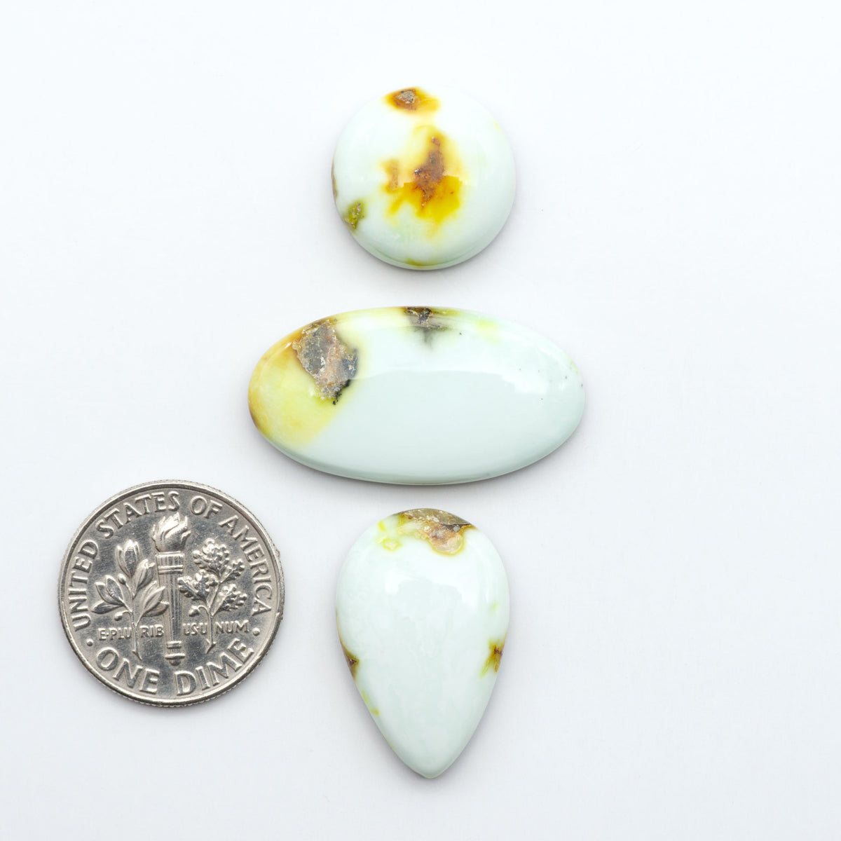 Palomino Variscite cabochons, polished yellow-green gemstones with natural matrix on a white background with a US dime for scale