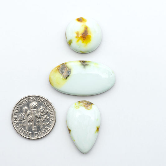 Palomino Variscite cabochons, polished yellow-green gemstones with natural matrix on a white background with a US dime for scale