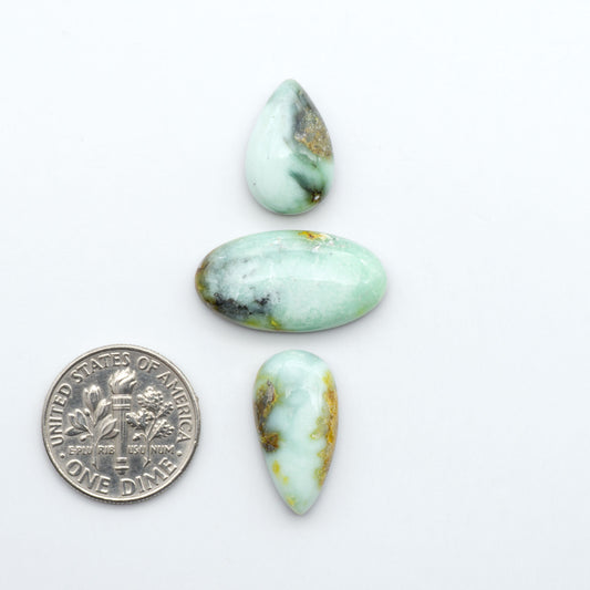 Palomino Variscite cabochons, polished yellow-green gemstones with natural matrix on a white background with a US dime for scale