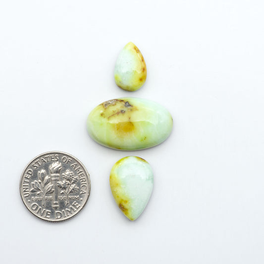 Palomino Variscite cabochons, polished yellow-green gemstones with natural matrix on a white background with a US dime for scale