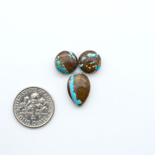 Number 8 Turquoise cabochons, blue and green color with brown matrix, polished stones on a white background, with a US dime for scale