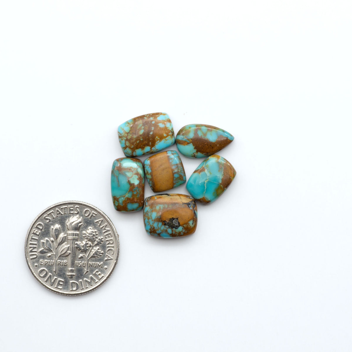 Kings Manassa Turquoise cabochons, polished green-blue gemstones with natural matrix on a white background with a US dime for scale