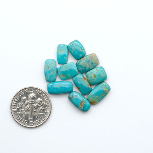 Kings Manassa Turquoise cabochons, polished green-blue gemstones with natural matrix on a white background with a US dime for scale