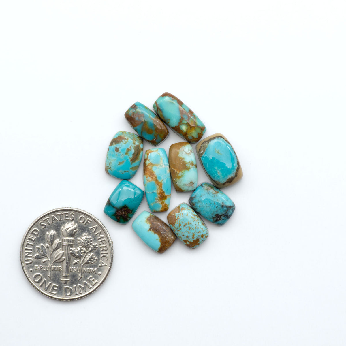 Kings Manassa Turquoise cabochons, polished green-blue gemstones with natural matrix on a white background with a US dime for scale