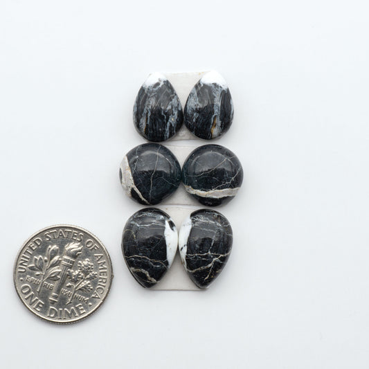 White Buffalo stone cabochons, white stone with black matrix, polished stones on a white background, with a US dime for scale