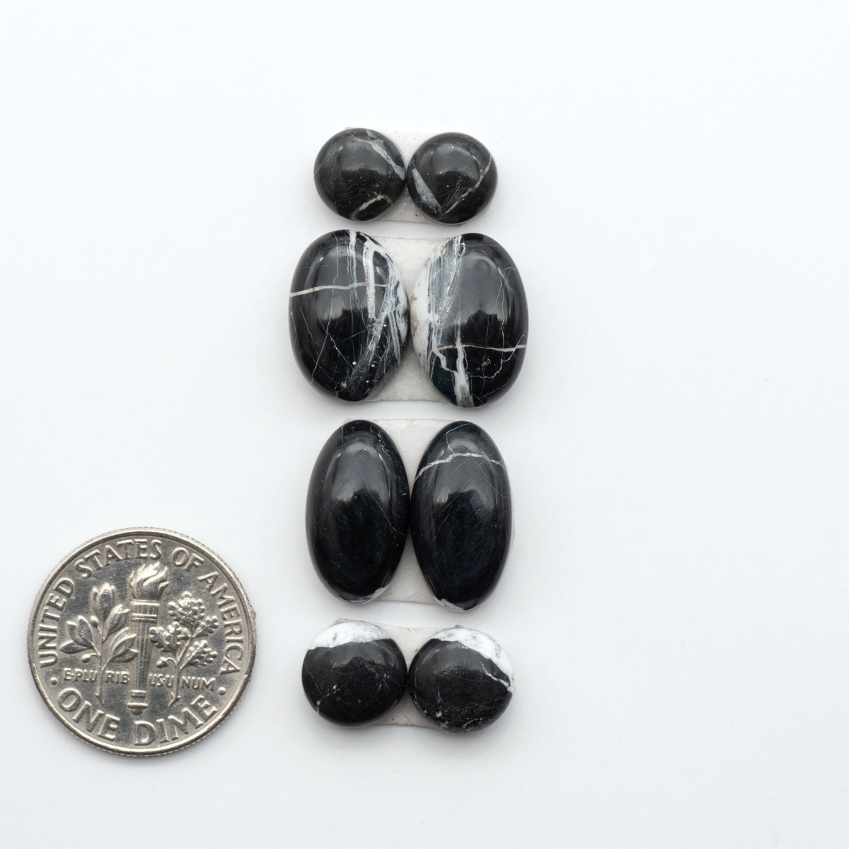 White Buffalo stone cabochons, white stone with black matrix, polished stones on a white background, with a US dime for scale