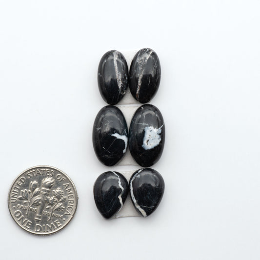 White Buffalo stone cabochons, white stone with black matrix, polished stones on a white background, with a US dime for scale