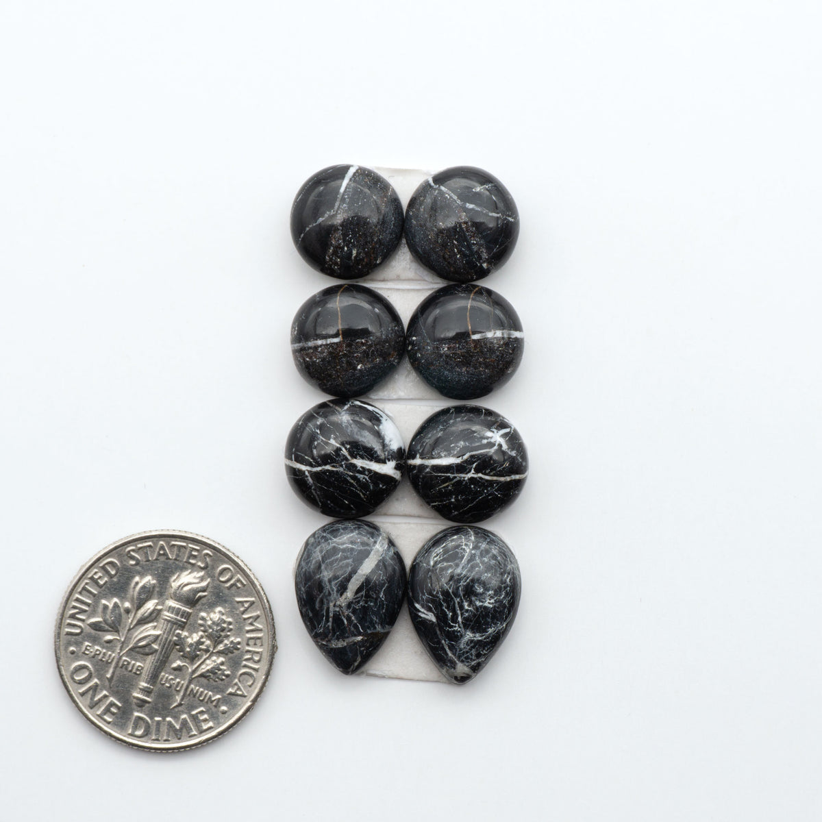 White Buffalo stone cabochons, white stone with black matrix, polished stones on a white background, with a US dime for scale
