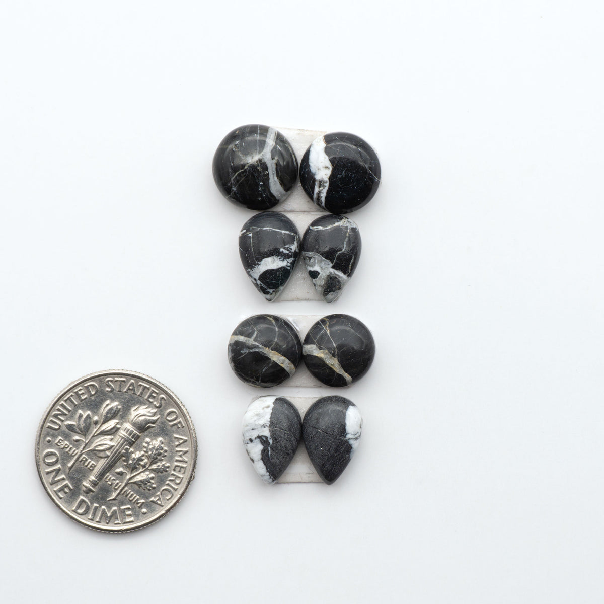 White Buffalo stone cabochons, white stone with black matrix, polished stones on a white background, with a US dime for scale