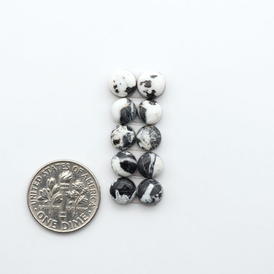 White Buffalo stone cabochons, white stone with black matrix, polished stones on a white background, with a US dime for scale