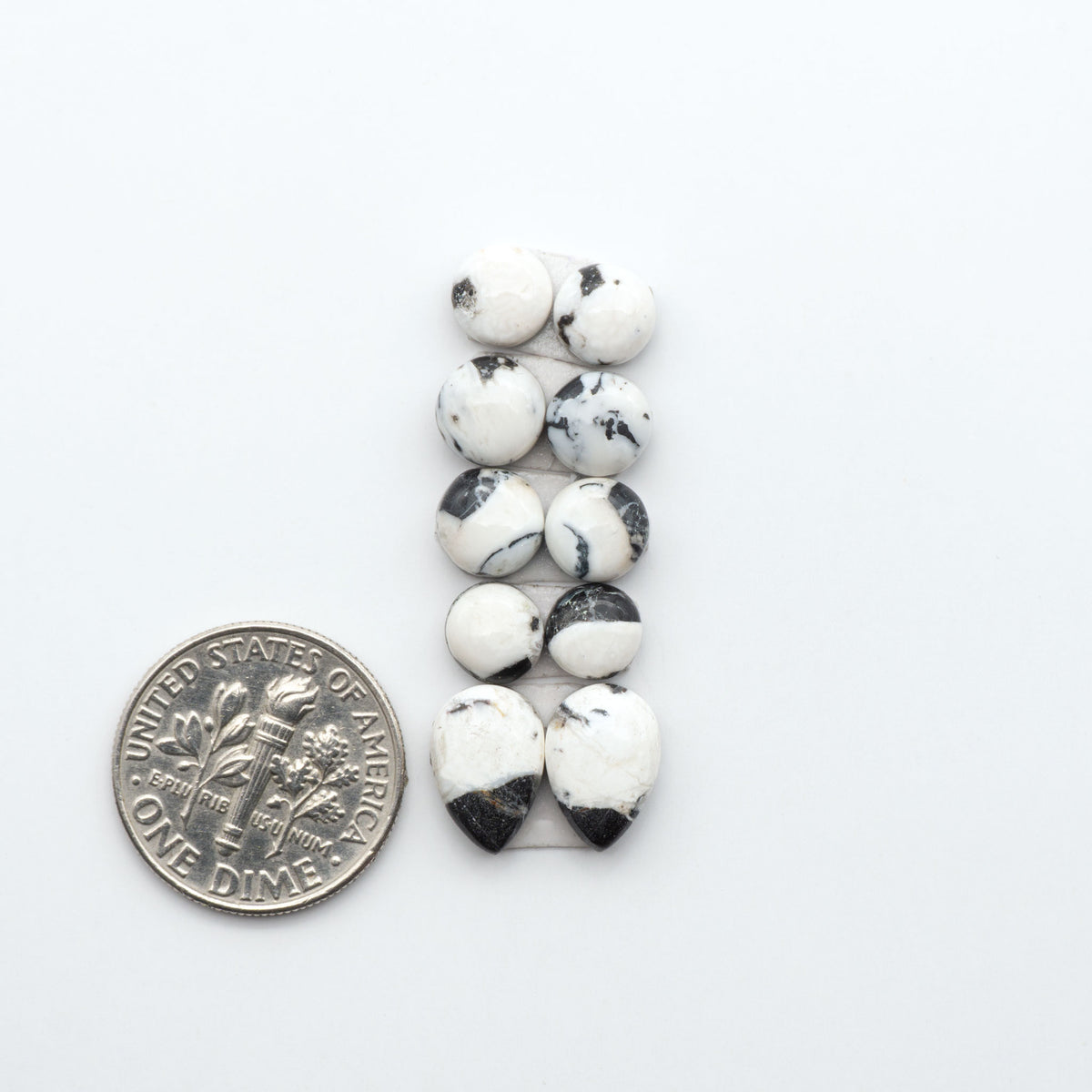 White Buffalo stone cabochons, white stone with black matrix, polished stones on a white background, with a US dime for scale