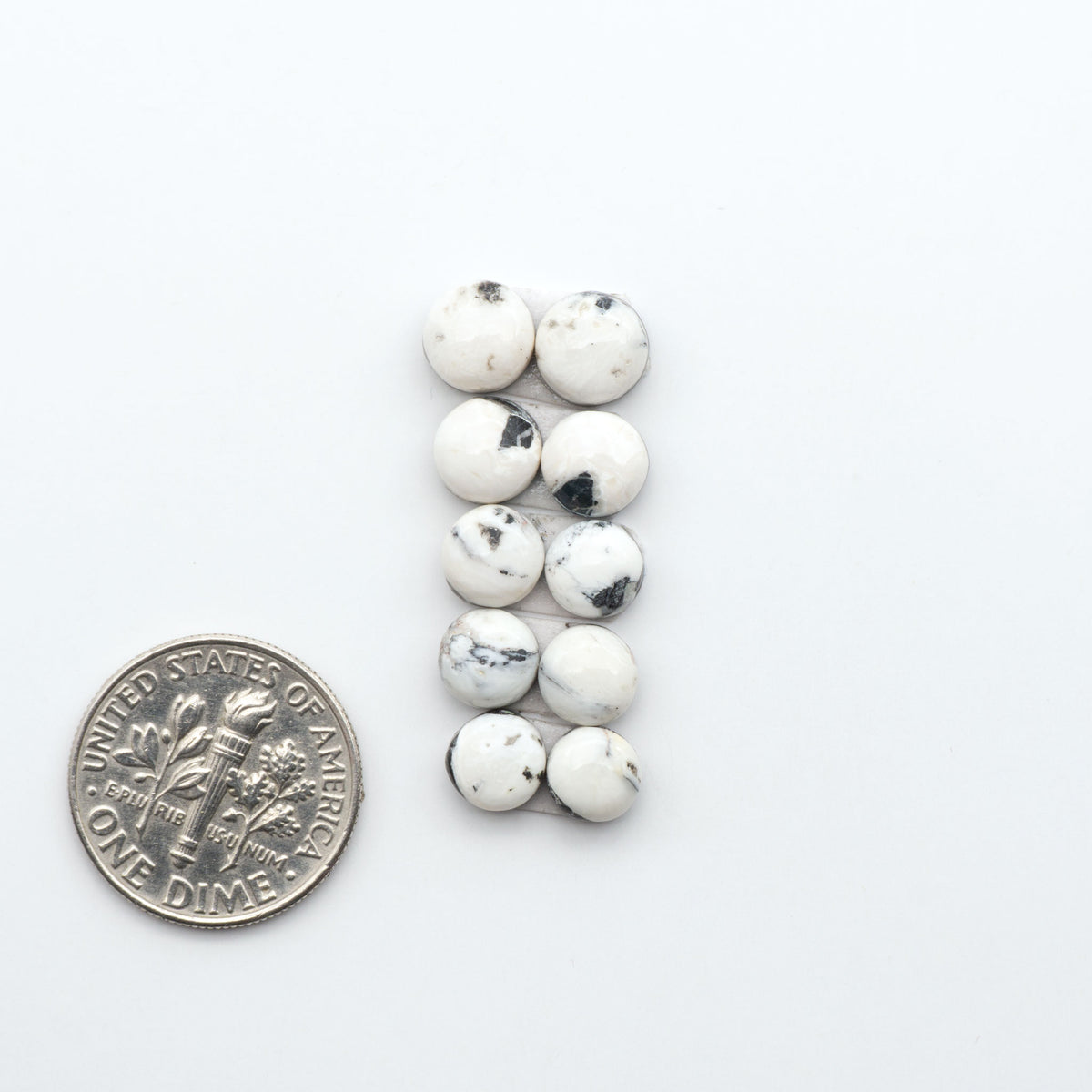 White Buffalo stone cabochons, white stone with black matrix, polished stones on a white background, with a US dime for scale