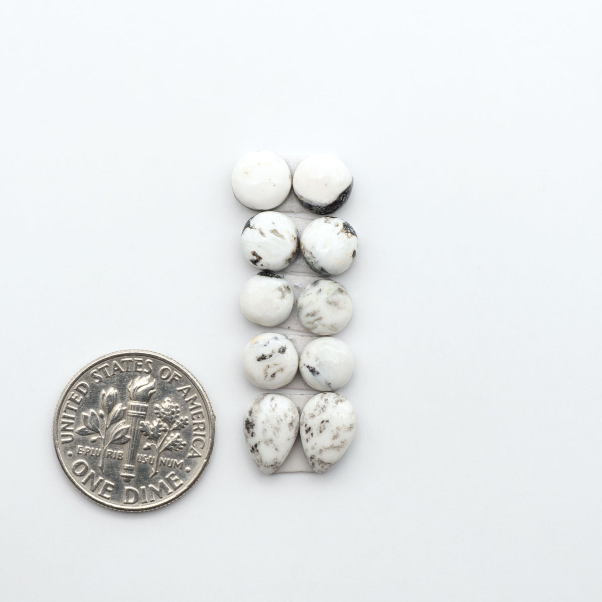 White Buffalo stone cabochons, white stone with black matrix, polished stones on a white background, with a US dime for scale