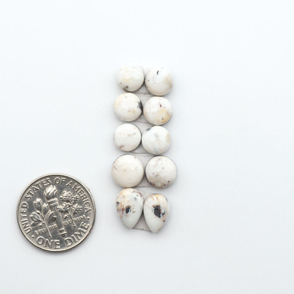 White Buffalo stone cabochons, white stone with black matrix, polished stones on a white background, with a US dime for scale
