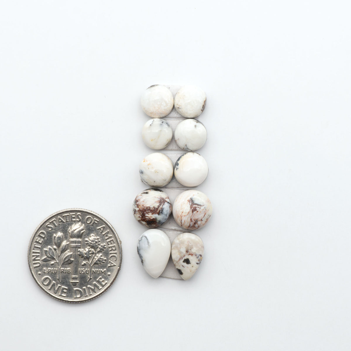 White Buffalo stone cabochons, white stone with black matrix, polished stones on a white background, with a US dime for scale