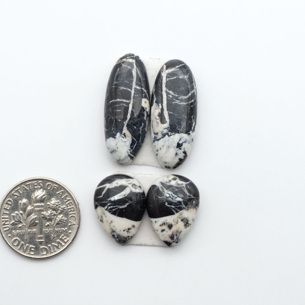 White Buffalo stone cabochons, white stone with black matrix, polished stones on a white background, with a US dime for scale