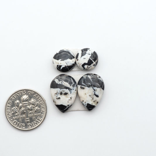 White Buffalo stone cabochons, white stone with black matrix, polished stones on a white background, with a US dime for scale