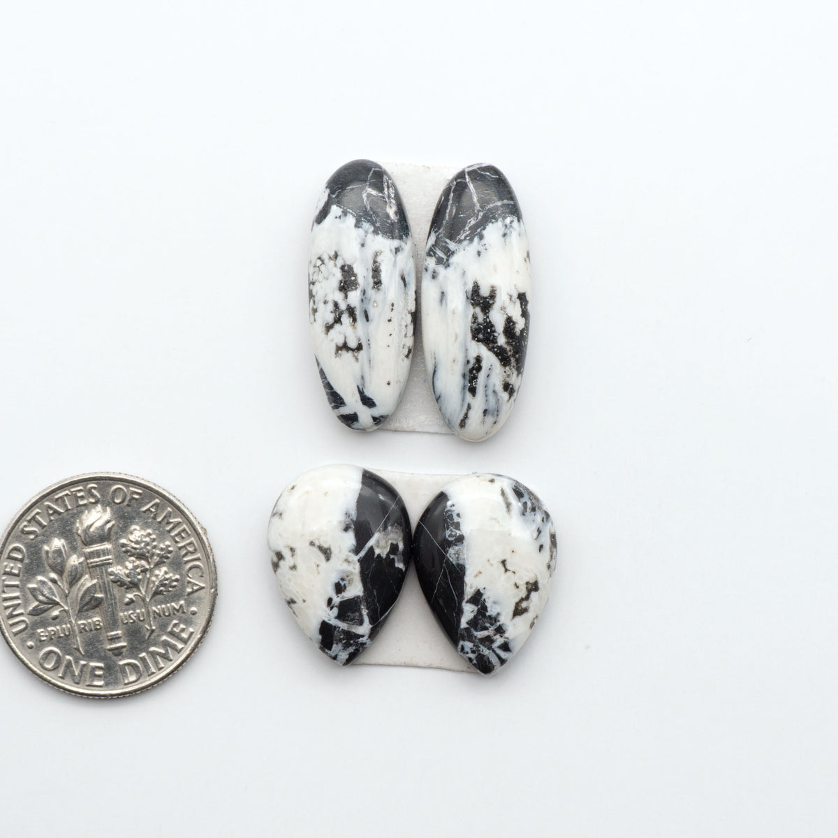 White Buffalo stone cabochons, white stone with black matrix, polished stones on a white background, with a US dime for scale