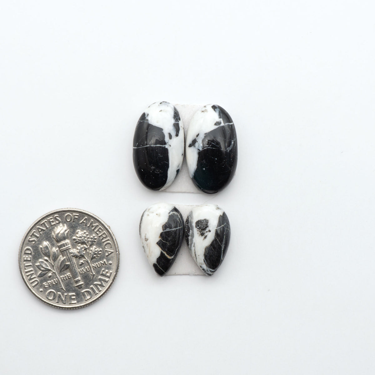 White Buffalo stone cabochons, white stone with black matrix, polished stones on a white background, with a US dime for scale