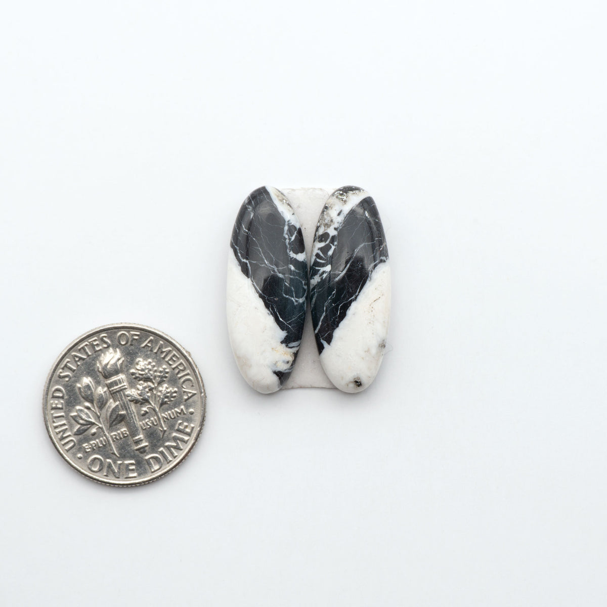 White Buffalo stone cabochons, white stone with black matrix, polished stones on a white background, with a US dime for scale