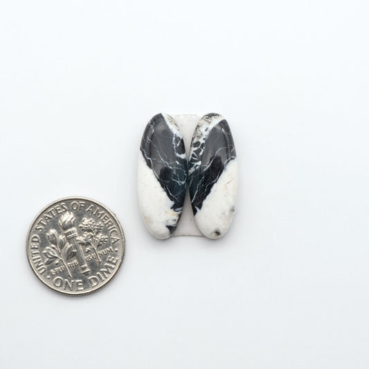 White Buffalo stone cabochons, white stone with black matrix, polished stones on a white background, with a US dime for scale