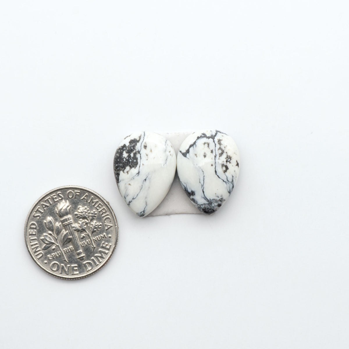 White Buffalo stone cabochons, white stone with black matrix, polished stones on a white background, with a US dime for scale