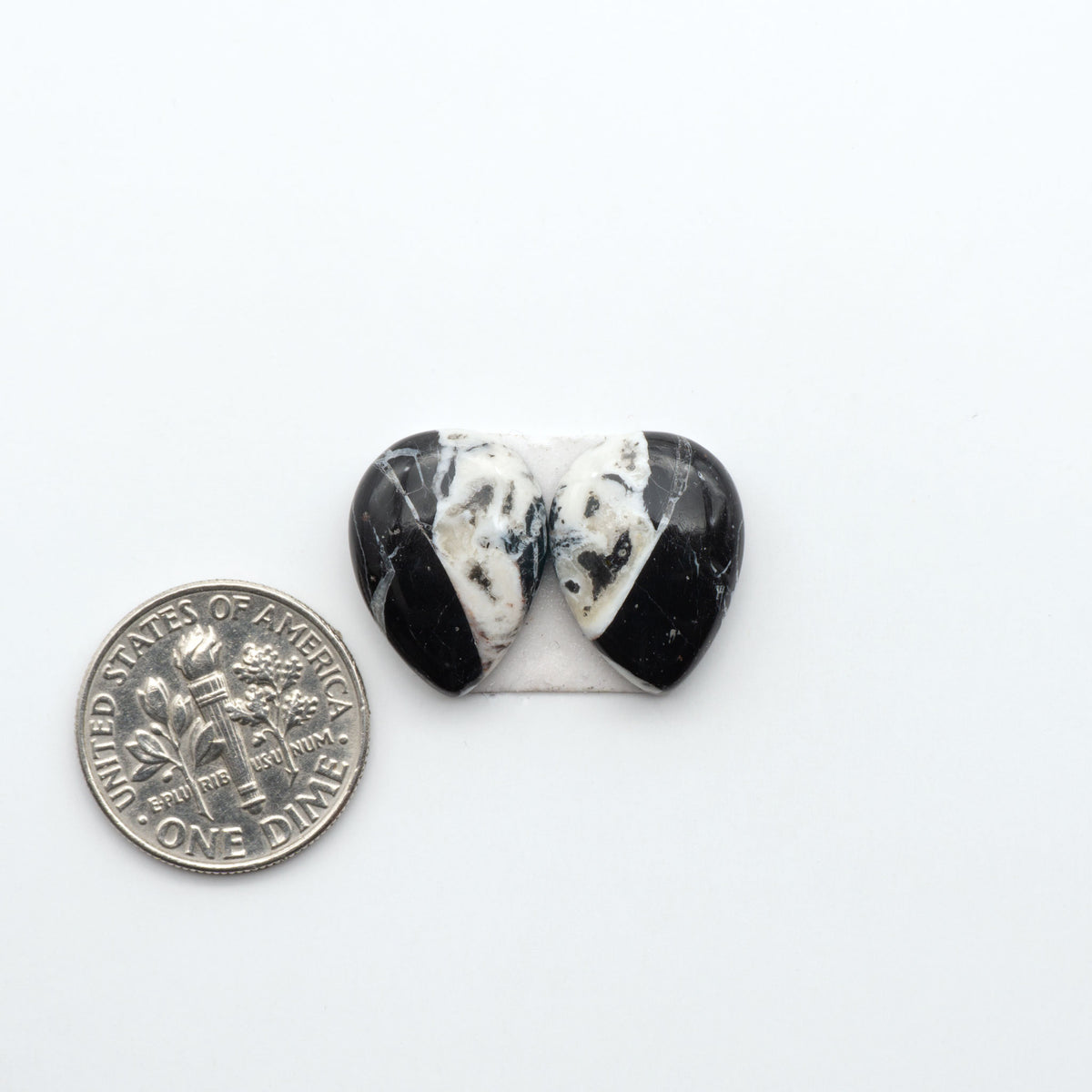 White Buffalo stone cabochons, white stone with black matrix, polished stones on a white background, with a US dime for scale