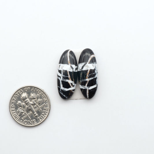 White Buffalo stone cabochons, white stone with black matrix, polished stones on a white background, with a US dime for scale
