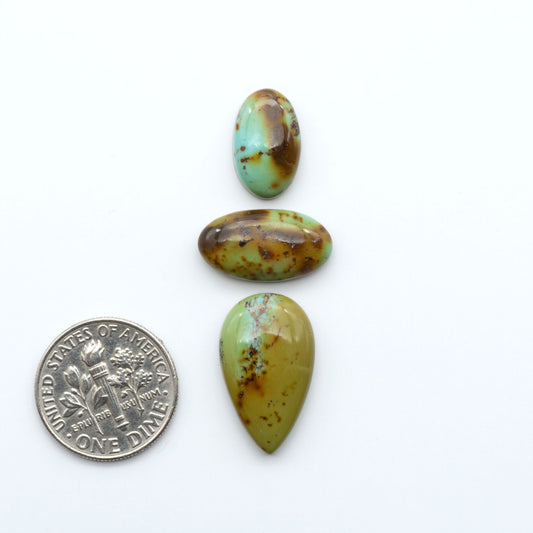 Turquoise Mountain Turquoise cabochons, polished blue and green gemstones with natural matrix on a white background with a US dime for scale