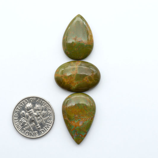 Turquoise Mountain Turquoise cabochons, polished blue and green gemstones with natural matrix on a white background with a US dime for scale