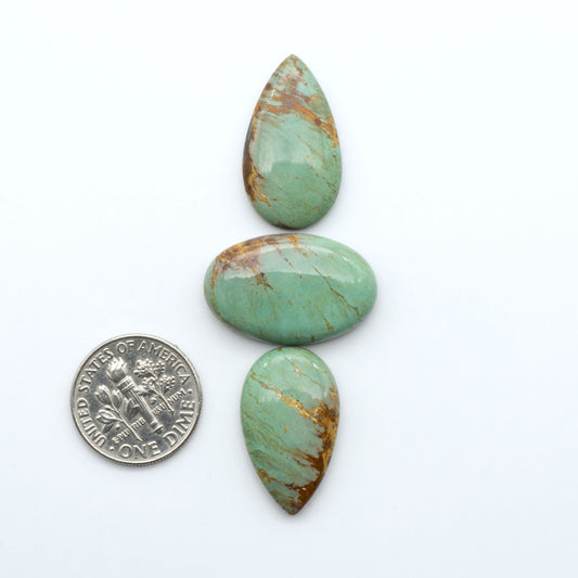 Turquoise Mountain Turquoise cabochons, polished blue and green gemstones with natural matrix on a white background with a US dime for scale