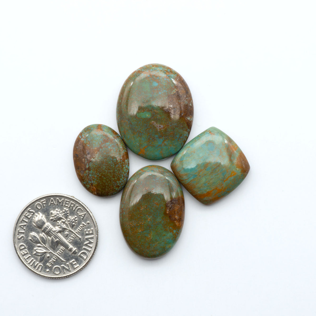 Turquoise Mountain Turquoise cabochons, polished blue and green gemstones with natural matrix on a white background with a US dime for scale