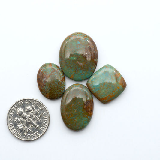 Turquoise Mountain Turquoise cabochons, polished blue and green gemstones with natural matrix on a white background with a US dime for scale