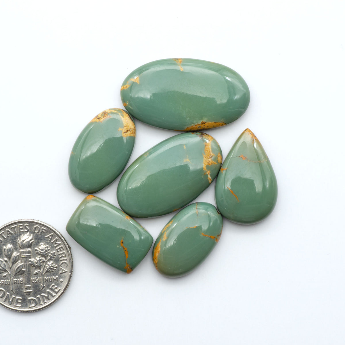 Turquoise Mountain Turquoise cabochons, polished blue and green gemstones with natural matrix on a white background with a US dime for scale