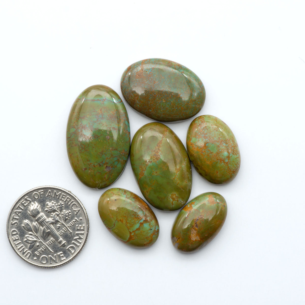 Turquoise Mountain Turquoise cabochons, polished blue and green gemstones with natural matrix on a white background with a US dime for scale