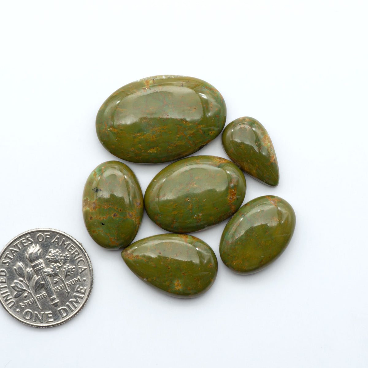 Turquoise Mountain Turquoise cabochons, polished blue and green gemstones with natural matrix on a white background with a US dime for scale