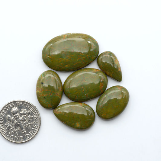 Turquoise Mountain Turquoise cabochons, polished blue and green gemstones with natural matrix on a white background with a US dime for scale